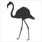 FİLAMİNGO FOLYO STİCKER