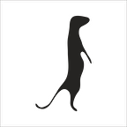 GELİNCİK FOLYO STİCKER