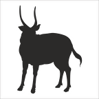 GEYİK FOLYO STİCKER