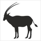 GEYİK FOLYO STİCKER