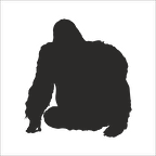 GORİL  FOLYO STİCKER