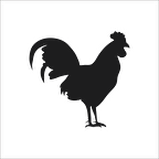 HOROZ FOLYO STİCKER