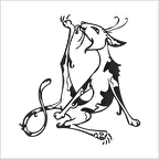 KEDİ  FOLYO STİCKER