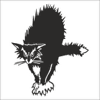 KEDİ  FOLYO STİCKER