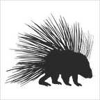 KİRPİ  FOLYO STİCKER