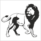 ASLAN LİON FOLYO STİCKER