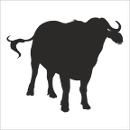 MANDA  FOLYO STİCKER