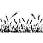 BUĞDAY BAŞAK FOLYO STİCKER