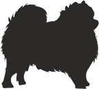 KÖPEK FOLYO STİCKER