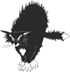 KEDİ FOLYO STİCKER