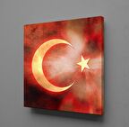 BAYRAĞIN IŞILDAMASI