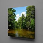 AĞAÇLAR İÇİNDE GÖL