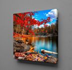 SONBAHARDA GÖL MANZARASI