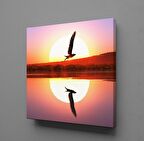 GÜN DOĞUŞU VE BATIŞI KUŞ