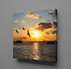 GÜN DOĞUŞU VE BATIŞI KUŞLAR