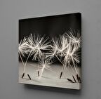 KARAHİNDİBA ÇİÇEĞİ