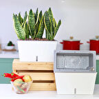 Kendinden Sulamalı Bahçe Tipi Dikdörtgen Akıllı Saksı