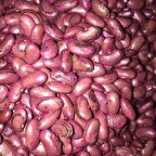  PEROLAR UZUN-ENLİ ERKENCİ FASULYE TOHUMU 500 GR (İLAÇLI)