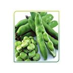 Yerli Bakla Tohumu 500 Gr