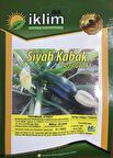 A-Z TOHUM KABAK TOHUMU A-Z 1030 F1 SİYAH KABAK - 20 ADET TOHUMLUK