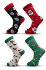Stocalze Unisex Soket Çorap. Noel ve Yılbaşı Temalı 4 Farklı Desenli ve Renkli Kutulu Pamuklu Çorap Seti.