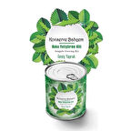 Sylar Konserve Bahçem Evde Konservede İri Yapraklı Roka Yetiştirme Kiti