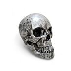 1:1 İnsan Kafası Kafatası Heykeli Dekor Kroki Modeli Heykel