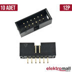 Box Header 2x6 12Pin 2.54mm 180C - 10 adet