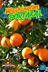 Washington PORTAKAL 10 Kg Kasa Dalından Taze