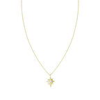 Altın Yıldız Kolye