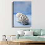Deniz Kabukları - Okyanus Hazineleri Kanvas Tablo