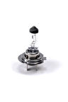 H7 Standart Halojen Oto Ampul 12v 55w
