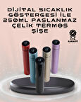 250ml LED Ekranlı Paslanmaz Çelik Akıllı Termos