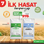 (Glutensiz) Çiğ Karabuğday Unu 5 Kg – 100% Çiğ Karabuğday Unundan Ekmeklik Un 5 Kg