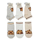 Katamino Capy Abs'li Erkek Çocuk  Patik Çorap K20318 Asorti