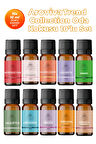 Trend Collection Esansiyel Uçucu Koku Yağı Buhurdanlık Yağı Difüzör Esansı 10'Lu Set 10x10ml Trend Collection Esansiyel Uçucu Koku Yağı Buhurdanlık Yağı Difüzör Esansı 10'Lu Set 10x10ml