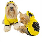 Yellow Lux Duo Kapşonlu Sweatshirt Köpek Kıyafeti Köpek Elbisesi 