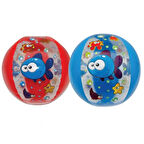 Deniz Topu Balık Desenli Renkli 35 Cm