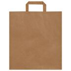 32x30x17-25 Adet Düz Saplı Kraft Çanta