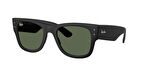 RAY-BAN 4840 601S71 50 Kadın Güneş Gözlüğü