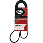 Chevrolet Aveo T250 / T255 1.4 16 Valf V Kayışı 2010-2011 Model Arası