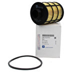 Chevrolet Captiva 2.0 Dizel C100 Mazot Filtresi Orjinal Gm 