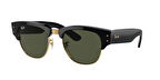 RAY-BAN RB0316S 901/31 53-21-145 Unisex Güneş Gözlüğü