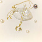 Ay Yıldız Kolye 14 Ayar Altın HD VİDEOLU