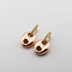 Zirkon Taşlı Rose Gold Metalik Düğme Gümüş Küpe