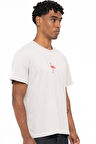 FLAMINGO t-shirt GREY