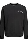 Jack&Jones Jjmuta  Crew Neck Erkek Sweatshirt 12236182