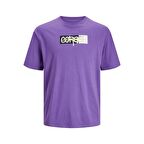 Jack&Jones Core Jcoaop Prınt Tee Ss Crew Neck Erkek T-Shirt 12253477