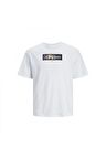 Jack&Jones Core Jcoaop Prınt Tee Ss Crew Neck Erkek T-Shirt 12253477