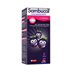 Sambucol Kids Kara Mürverli Şurup 120 ml